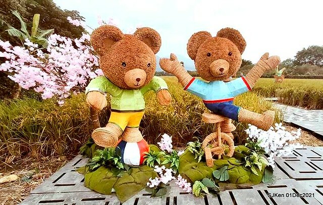 2021「熊愛關渡」稻草裝置藝術展(Bear art exhibition at Kuandu , Taipei, Taiwan, SJKen, Dec 1, 2021.