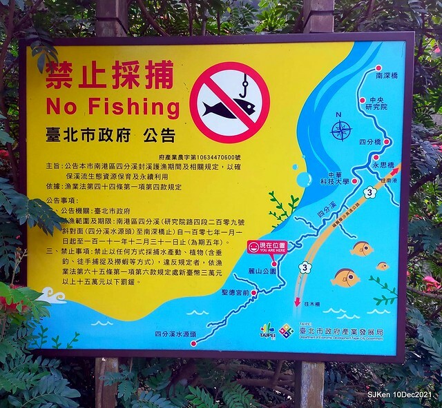 Larix pine garden plaza at Nangang, Taipei, Taiwan, SJKen, Dec 10, 2021.