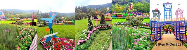 士林官邸2021「菊來運轉」花展 (Shilin Residence Chrysanthesmum Festival), Nov 26 ~ Dec 12, 2021, Taipei, Taiwan, SJKen, Dec 4, 2021.