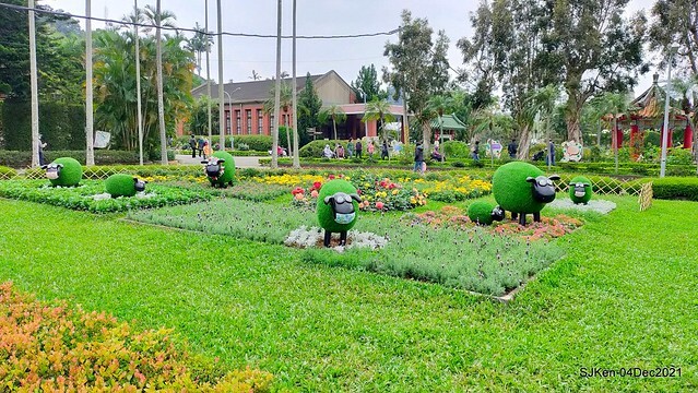 士林官邸2021「菊來運轉」花展 (Shilin Residence Chrysanthesmum Festival), Nov 26 ~ Dec 12, 2021, Taipei, Taiwan, SJKen, Dec 4, 2021.