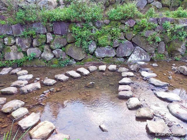 Larix pine garden plaza at Nangang, Taipei, Taiwan, SJKen, Dec 10, 2021.