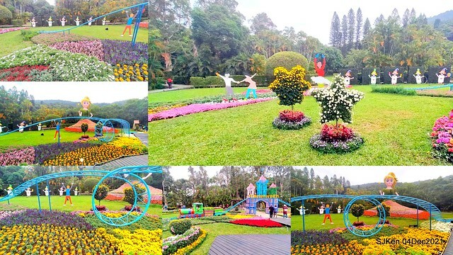 士林官邸2021「菊來運轉」花展 (Shilin Residence Chrysanthesmum Festival), Nov 26 ~ Dec 12, 2021, Taipei, Taiwan, SJKen, Dec 4, 2021.