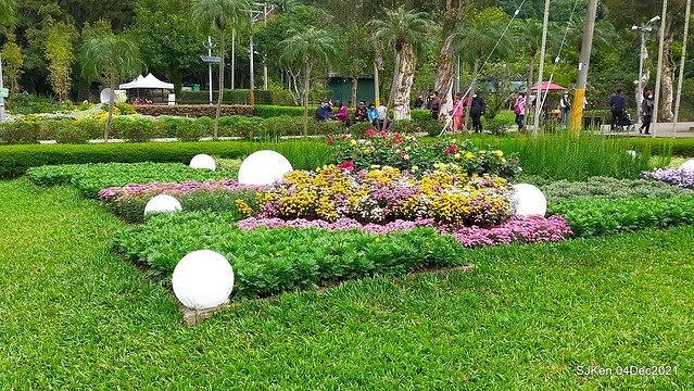 士林官邸2021「菊來運轉」花展 (Shilin Residence Chrysanthesmum Festival), Nov 26 ~ Dec 12, 2021, Taipei, Taiwan, SJKen, Dec 4, 2021.