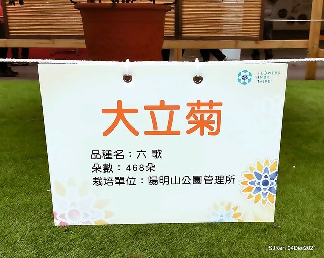 士林官邸2021「菊來運轉」花展 (Shilin Residence Chrysanthesmum Festival), Nov 26 ~ Dec 12, 2021, Taipei, Taiwan, SJKen, Dec 4, 2021.