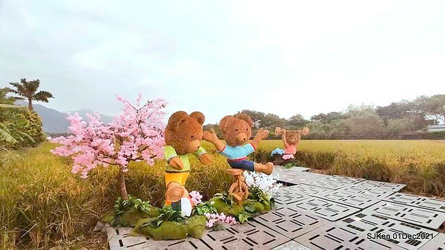 2021「熊愛關渡」稻草裝置藝術展(Bear art exhibition at Kuandu , Taipei, Taiwan, SJKen, Dec 1, 2021.