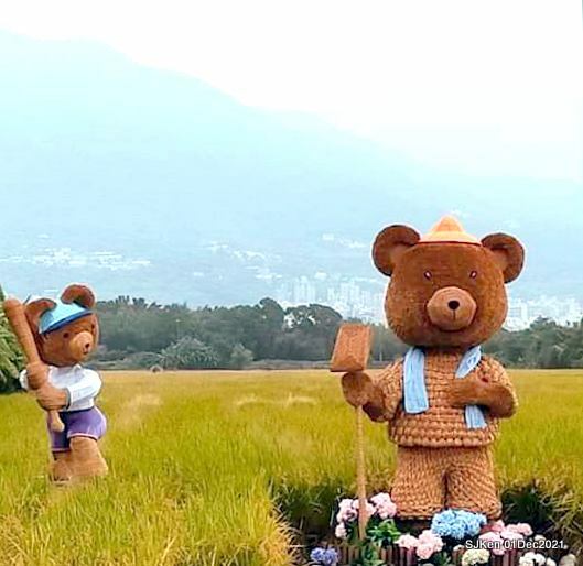 2021「熊愛關渡」稻草裝置藝術展(Bear art exhibition at Kuandu , Taipei, Taiwan, SJKen, Dec 1, 2021.