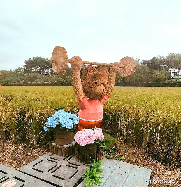 2021「熊愛關渡」稻草裝置藝術展(Bear art exhibition at Kuandu , Taipei, Taiwan, SJKen, Dec 1, 2021.
