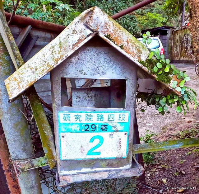 Larix pine garden plaza at Nangang, Taipei, Taiwan, SJKen, Dec 10, 2021.