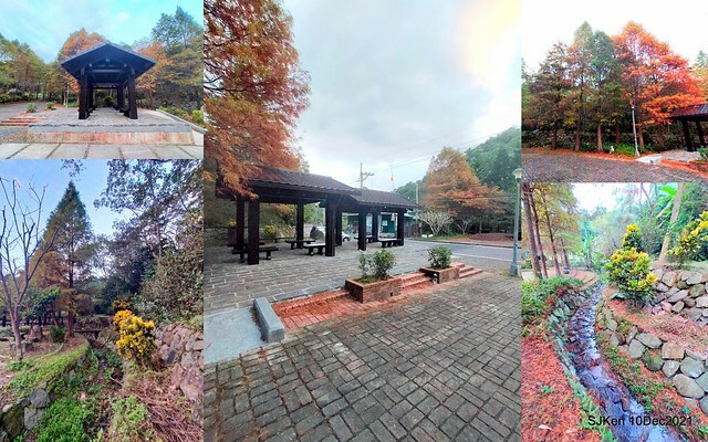 Larix pine garden plaza at Nangang, Taipei, Taiwan, SJKen, Dec 10, 2021.