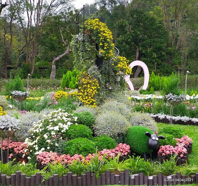 士林官邸2021「菊來運轉」花展 (Shilin Residence Chrysanthesmum Festival), Nov 26 ~ Dec 12, 2021, Taipei, Taiwan, SJKen, Dec 4, 2021.