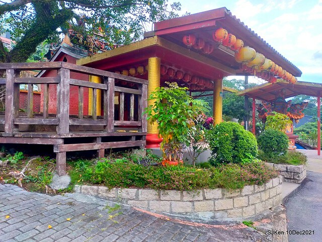 Larix pine garden plaza at Nangang, Taipei, Taiwan, SJKen, Dec 10, 2021.