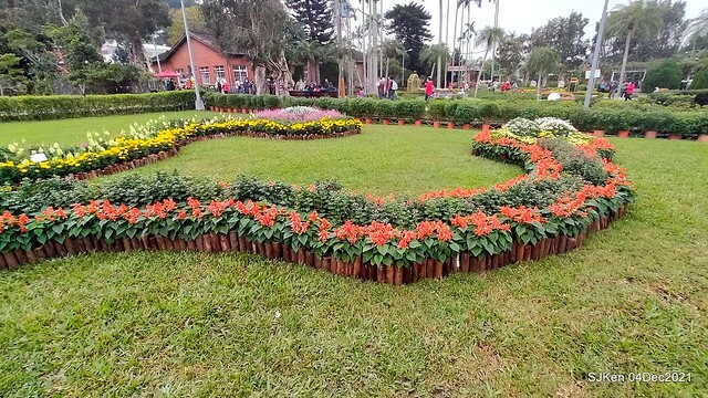 士林官邸2021「菊來運轉」花展 (Shilin Residence Chrysanthesmum Festival), Nov 26 ~ Dec 12, 2021, Taipei, Taiwan, SJKen, Dec 4, 2021.