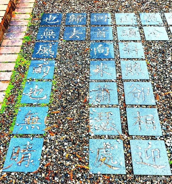 Larix pine garden plaza at Nangang, Taipei, Taiwan, SJKen, Dec 10, 2021.