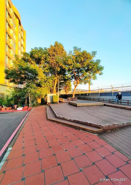 Larix pine trail nearby Fuxinggang metro station, Taipei, Taiwan, SJKen, Dec 11, 2021.