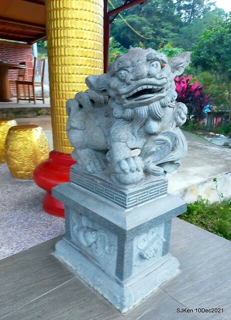 Larix pine garden plaza at Nangang, Taipei, Taiwan, SJKen, Dec 10, 2021.