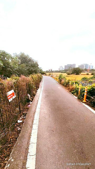 2021「熊愛關渡」稻草裝置藝術展(Bear art exhibition at Kuandu , Taipei, Taiwan, SJKen, Dec 1, 2021.