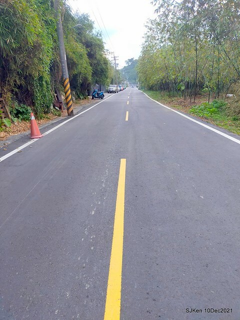 Larix pine garden plaza at Nangang, Taipei, Taiwan, SJKen, Dec 10, 2021.