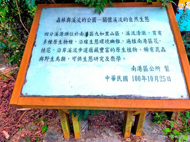 Larix pine garden plaza at Nangang, Taipei, Taiwan, SJKen, Dec 10, 2021.