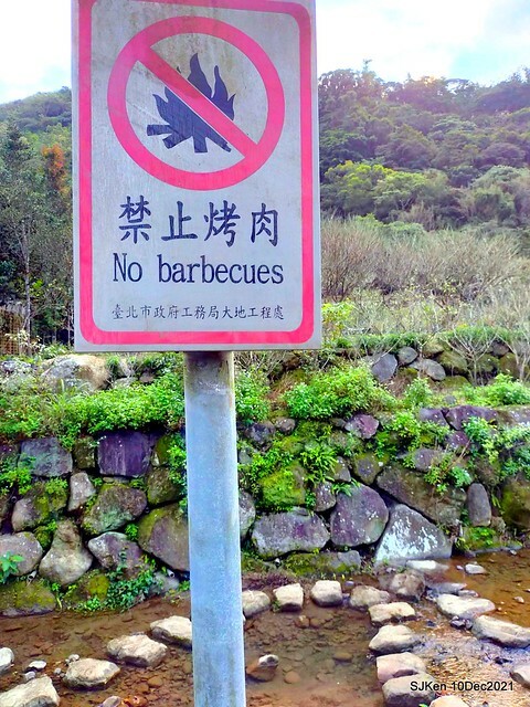 Larix pine garden plaza at Nangang, Taipei, Taiwan, SJKen, Dec 10, 2021.
