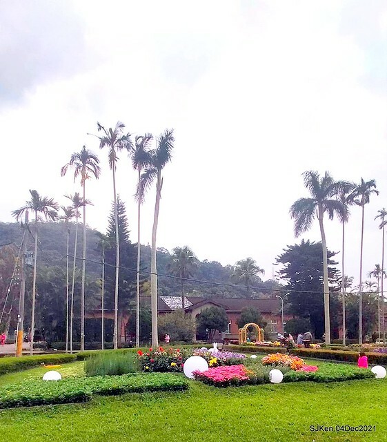 士林官邸2021「菊來運轉」花展 (Shilin Residence Chrysanthesmum Festival), Nov 26 ~ Dec 12, 2021, Taipei, Taiwan, SJKen, Dec 4, 2021.