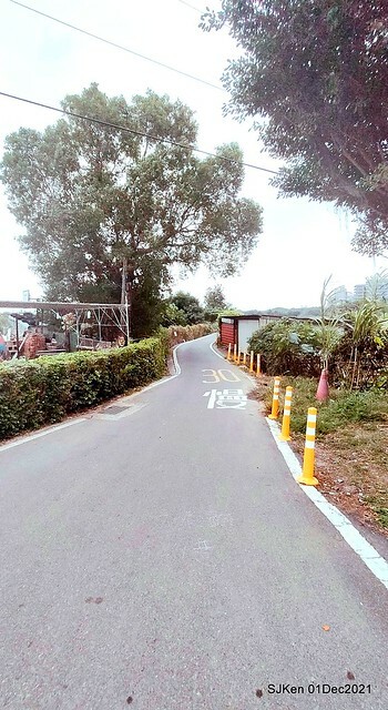 2021「熊愛關渡」稻草裝置藝術展(Bear art exhibition at Kuandu , Taipei, Taiwan, SJKen, Dec 1, 2021.