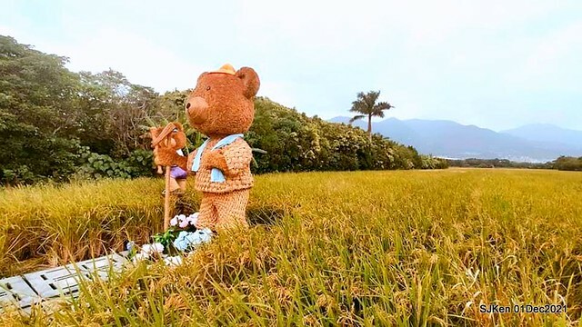 2021「熊愛關渡」稻草裝置藝術展(Bear art exhibition at Kuandu , Taipei, Taiwan, SJKen, Dec 1, 2021.