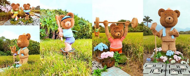 2021「熊愛關渡」稻草裝置藝術展(Bear art exhibition at Kuandu , Taipei, Taiwan, SJKen, Dec 1, 2021.