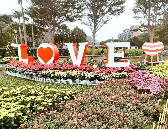 士林官邸2021「菊來運轉」花展 (Shilin Residence Chrysanthesmum Festival), Nov 26 ~ Dec 12, 2021, Taipei, Taiwan, SJKen, Dec 4, 2021.