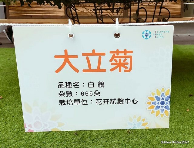 士林官邸2021「菊來運轉」花展 (Shilin Residence Chrysanthesmum Festival), Nov 26 ~ Dec 12, 2021, Taipei, Taiwan, SJKen, Dec 4, 2021.