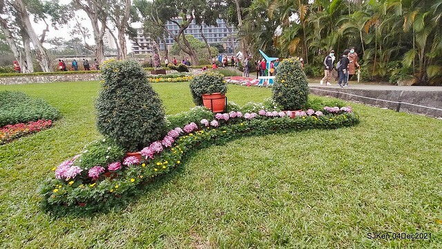 士林官邸2021「菊來運轉」花展 (Shilin Residence Chrysanthesmum Festival), Nov 26 ~ Dec 12, 2021, Taipei, Taiwan, SJKen, Dec 4, 2021.