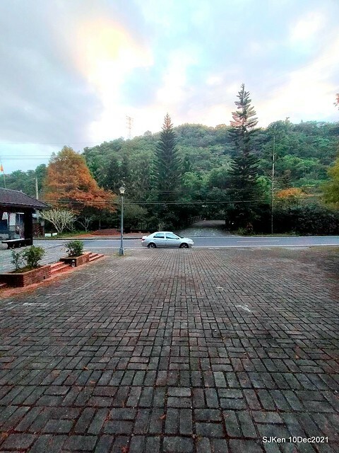 Larix pine garden plaza at Nangang, Taipei, Taiwan, SJKen, Dec 10, 2021.