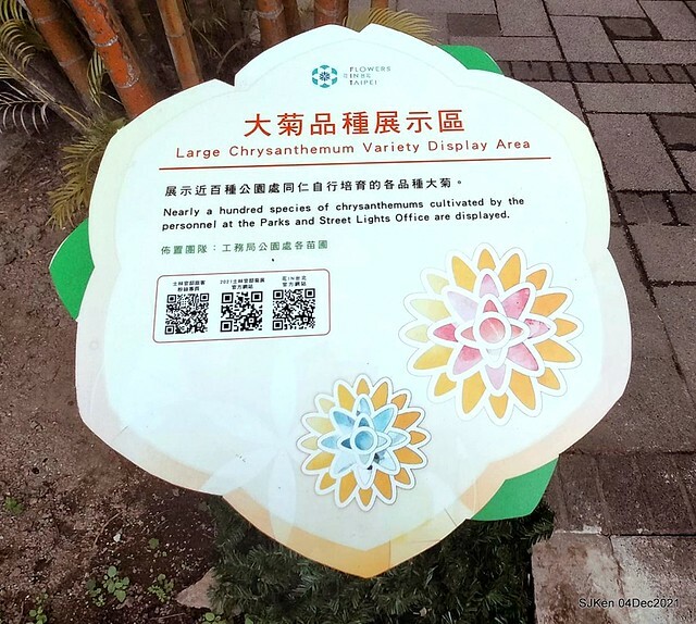 士林官邸2021「菊來運轉」花展 (Shilin Residence Chrysanthesmum Festival), Nov 26 ~ Dec 12, 2021, Taipei, Taiwan, SJKen, Dec 4, 2021.