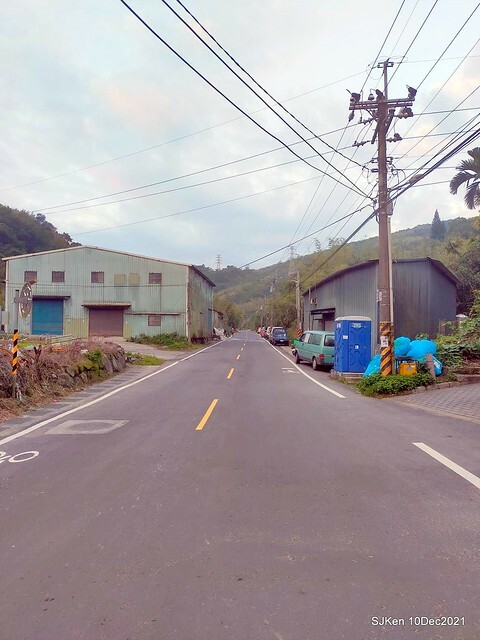 Larix pine garden plaza at Nangang, Taipei, Taiwan, SJKen, Dec 10, 2021.
