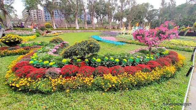 士林官邸2021「菊來運轉」花展 (Shilin Residence Chrysanthesmum Festival), Nov 26 ~ Dec 12, 2021, Taipei, Taiwan, SJKen, Dec 4, 2021.