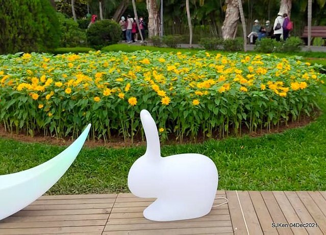 士林官邸2021「菊來運轉」花展 (Shilin Residence Chrysanthesmum Festival), Nov 26 ~ Dec 12, 2021, Taipei, Taiwan, SJKen, Dec 4, 2021.