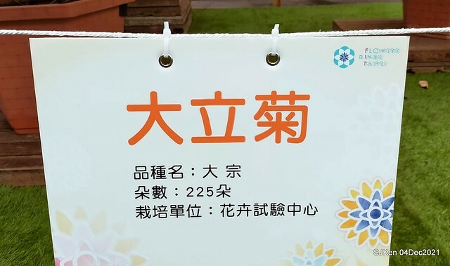 士林官邸2021「菊來運轉」花展 (Shilin Residence Chrysanthesmum Festival), Nov 26 ~ Dec 12, 2021, Taipei, Taiwan, SJKen, Dec 4, 2021.