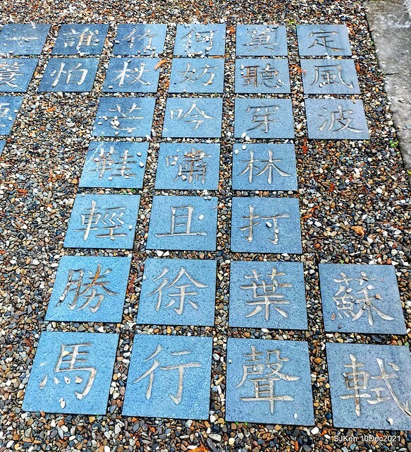 Larix pine garden plaza at Nangang, Taipei, Taiwan, SJKen, Dec 10, 2021.