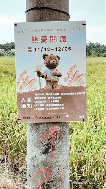 2021「熊愛關渡」稻草裝置藝術展(Bear art exhibition at Kuandu , Taipei, Taiwan, SJKen, Dec 1, 2021.