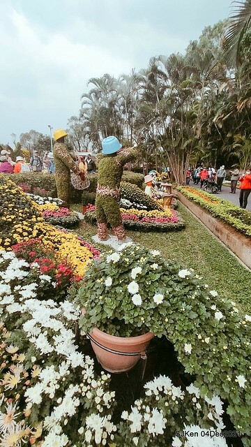 士林官邸2021「菊來運轉」花展 (Shilin Residence Chrysanthesmum Festival), Nov 26 ~ Dec 12, 2021, Taipei, Taiwan, SJKen, Dec 4, 2021.