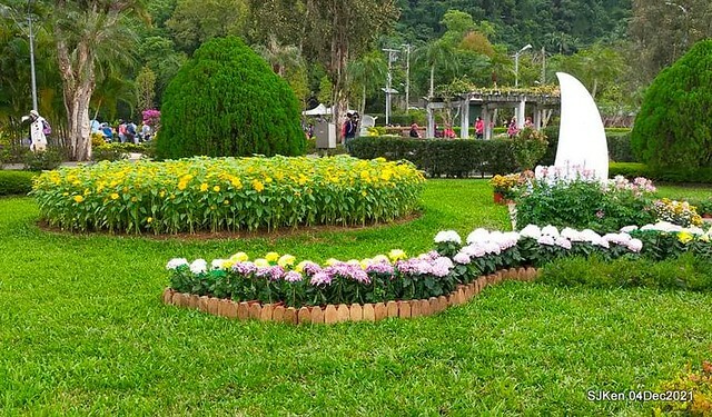 士林官邸2021「菊來運轉」花展 (Shilin Residence Chrysanthesmum Festival), Nov 26 ~ Dec 12, 2021, Taipei, Taiwan, SJKen, Dec 4, 2021.