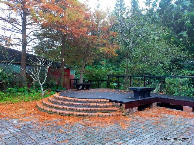 Larix pine garden plaza at Nangang, Taipei, Taiwan, SJKen, Dec 10, 2021.