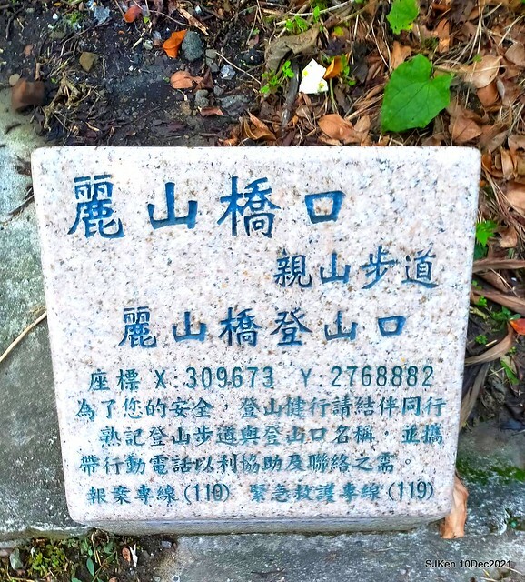 Larix pine garden plaza at Nangang, Taipei, Taiwan, SJKen, Dec 10, 2021.