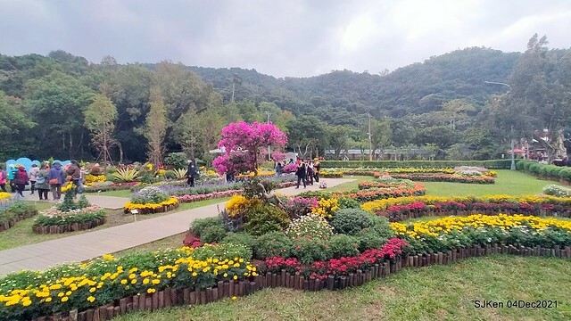 士林官邸2021「菊來運轉」花展 (Shilin Residence Chrysanthesmum Festival), Nov 26 ~ Dec 12, 2021, Taipei, Taiwan, SJKen, Dec 4, 2021.