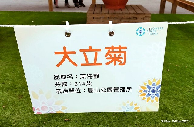 士林官邸2021「菊來運轉」花展 (Shilin Residence Chrysanthesmum Festival), Nov 26 ~ Dec 12, 2021, Taipei, Taiwan, SJKen, Dec 4, 2021.