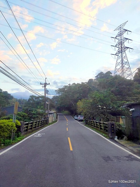 Larix pine garden plaza at Nangang, Taipei, Taiwan, SJKen, Dec 10, 2021.