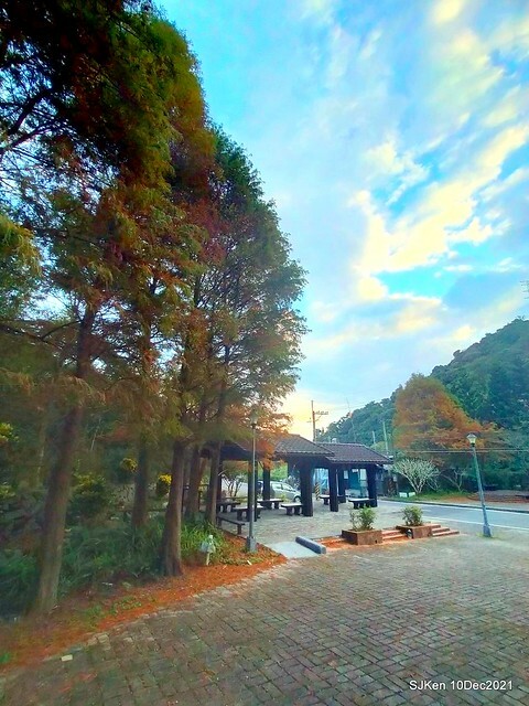 Larix pine garden plaza at Nangang, Taipei, Taiwan, SJKen, Dec 10, 2021.