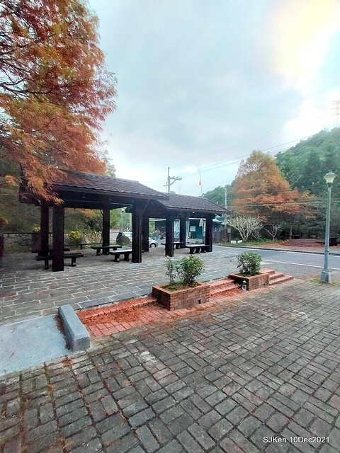 Larix pine garden plaza at Nangang, Taipei, Taiwan, SJKen, Dec 10, 2021.