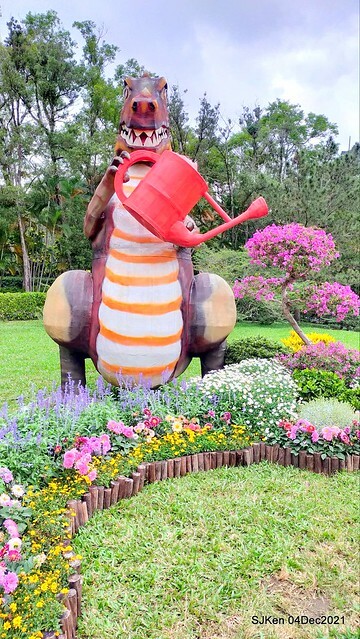 士林官邸2021「菊來運轉」花展 (Shilin Residence Chrysanthesmum Festival), Nov 26 ~ Dec 12, 2021, Taipei, Taiwan, SJKen, Dec 4, 2021.