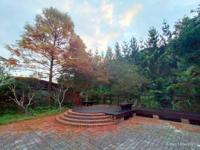 Larix pine garden plaza at Nangang, Taipei, Taiwan, SJKen, Dec 10, 2021.