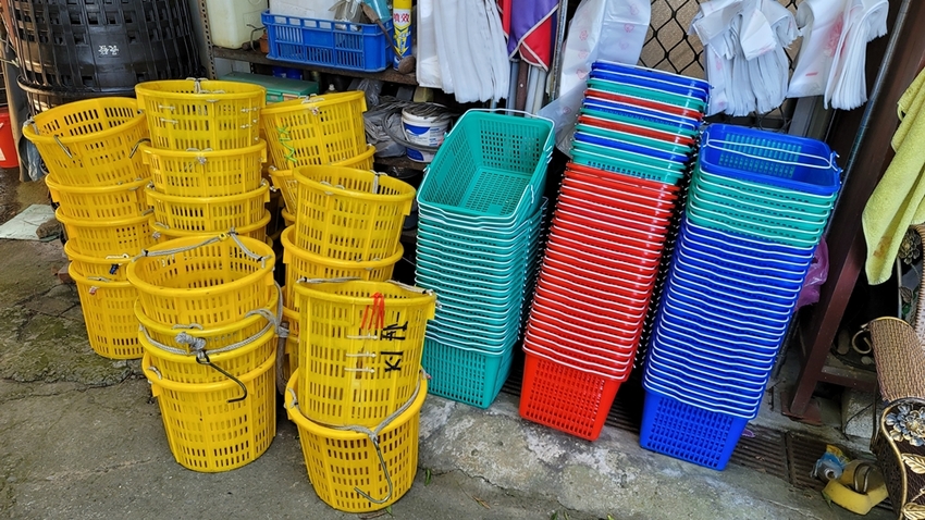 橘子成熟囉！來去大坑採椪柑，橘子多汁甜又甜，景色優美超好拍，親子一起採橘趣！！